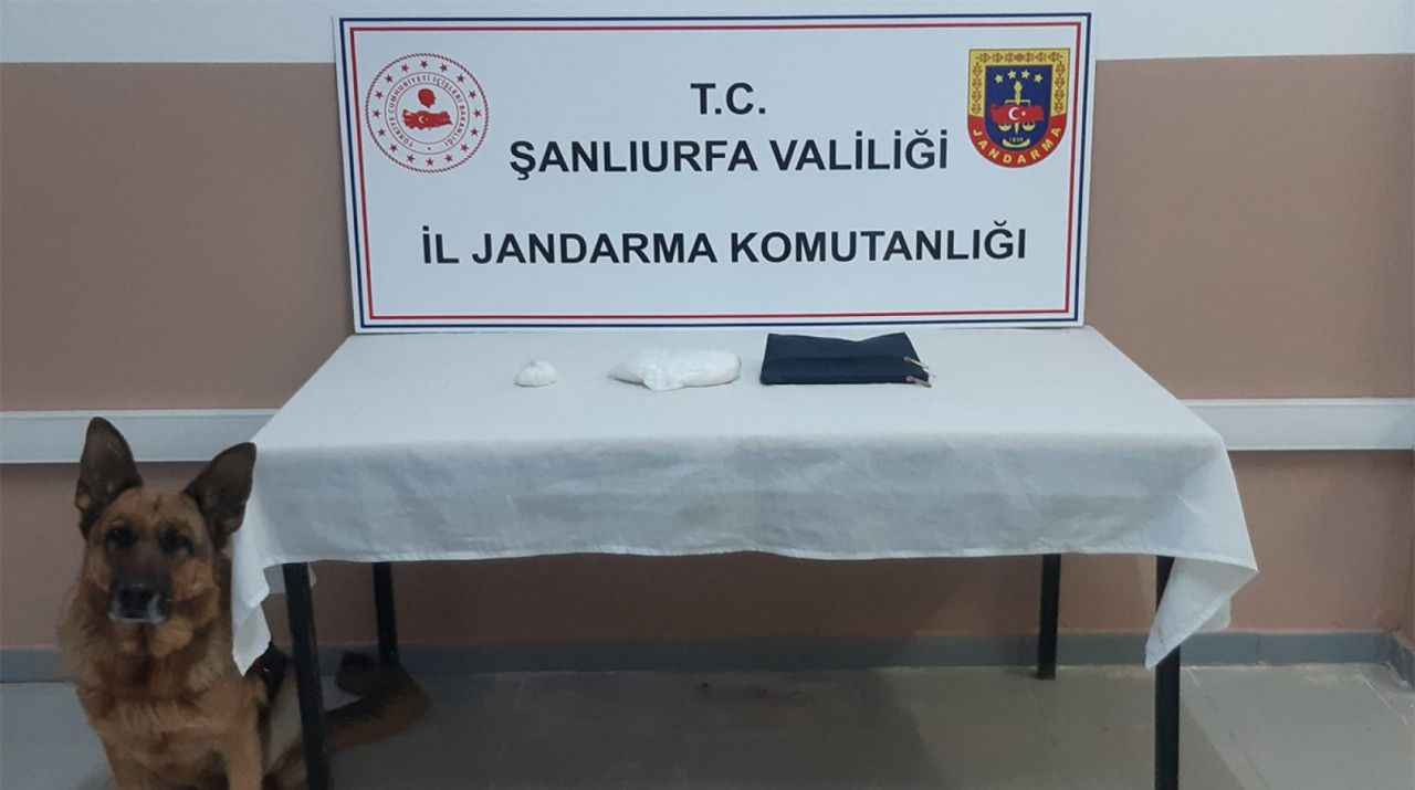 Urfa'da jandarma, yolcu otobüsünde uyuşturucu ele geçirdi