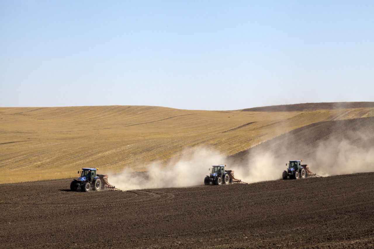 Ceylanpınar TİM’e şoför, operatör ve atölye işçisi alımı için ilan