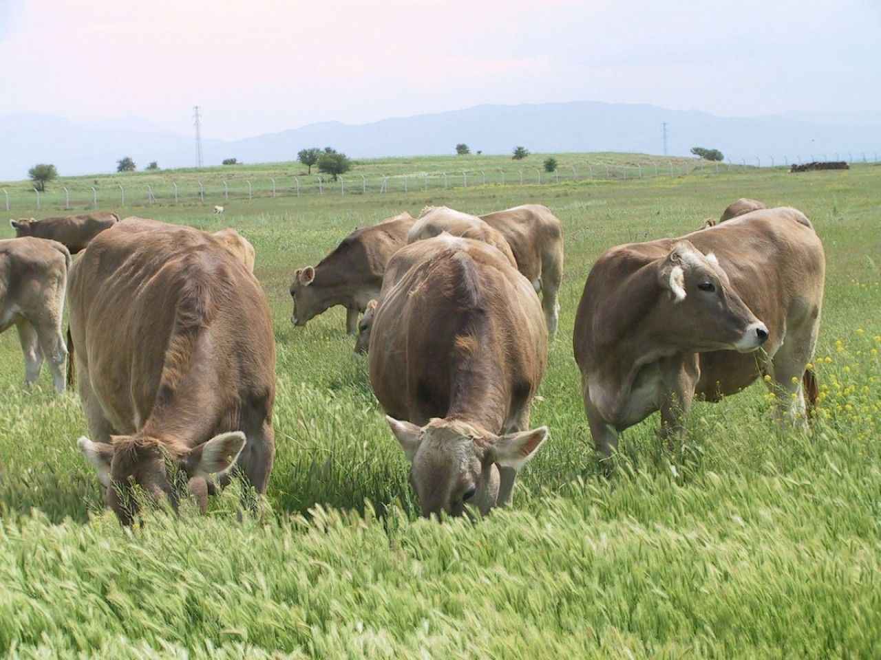 Çiftçiler için müjdeli haber geldi! Resmi Gazete’de yayımlandı!