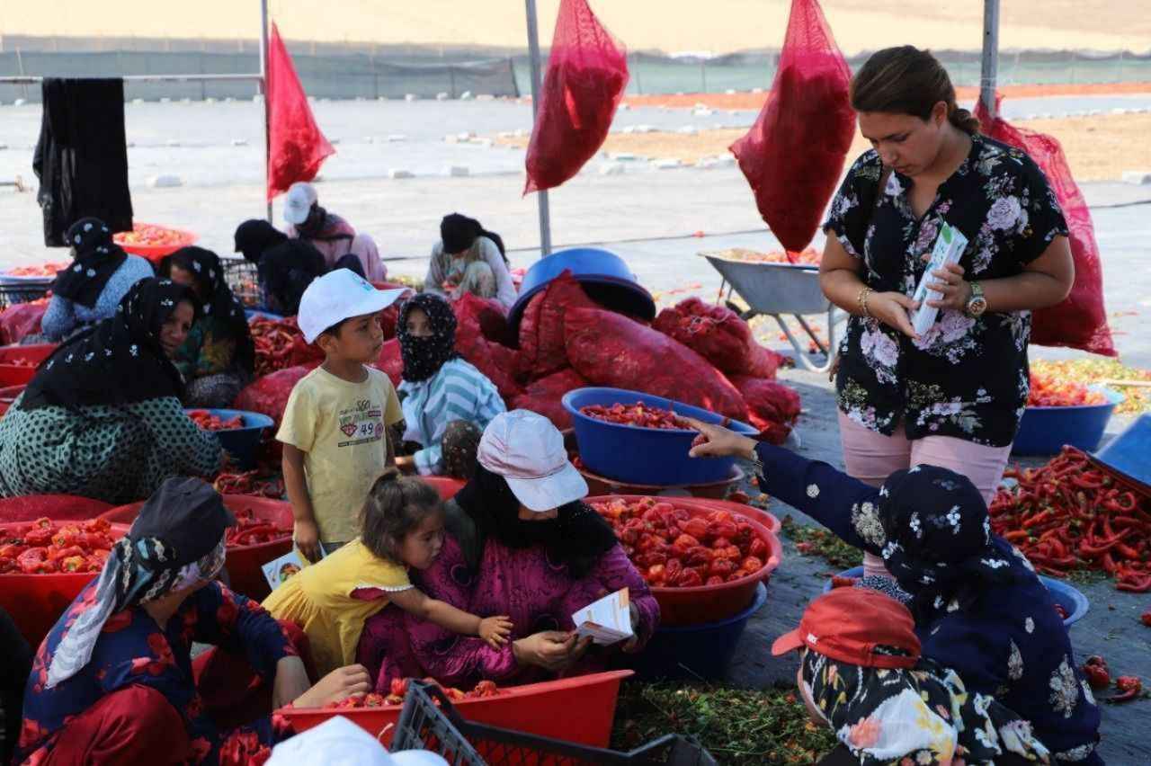 Şanlıurfa kadın istihdam oranının en düşük olduğu illerden