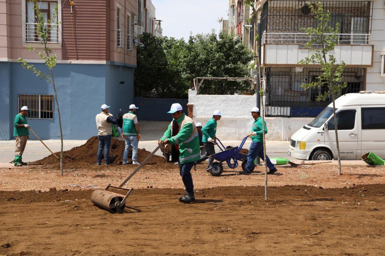 Haliliye’de Ahmet Yesevi Mahallesindeki yeni parkın çimleri ekiliyor