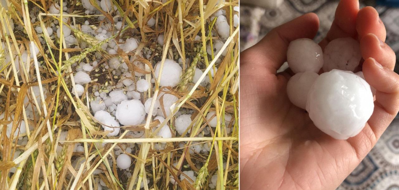 Kaymakamlıktan Siverekli çiftçilere çağrı: Hasar tespiti başladı...