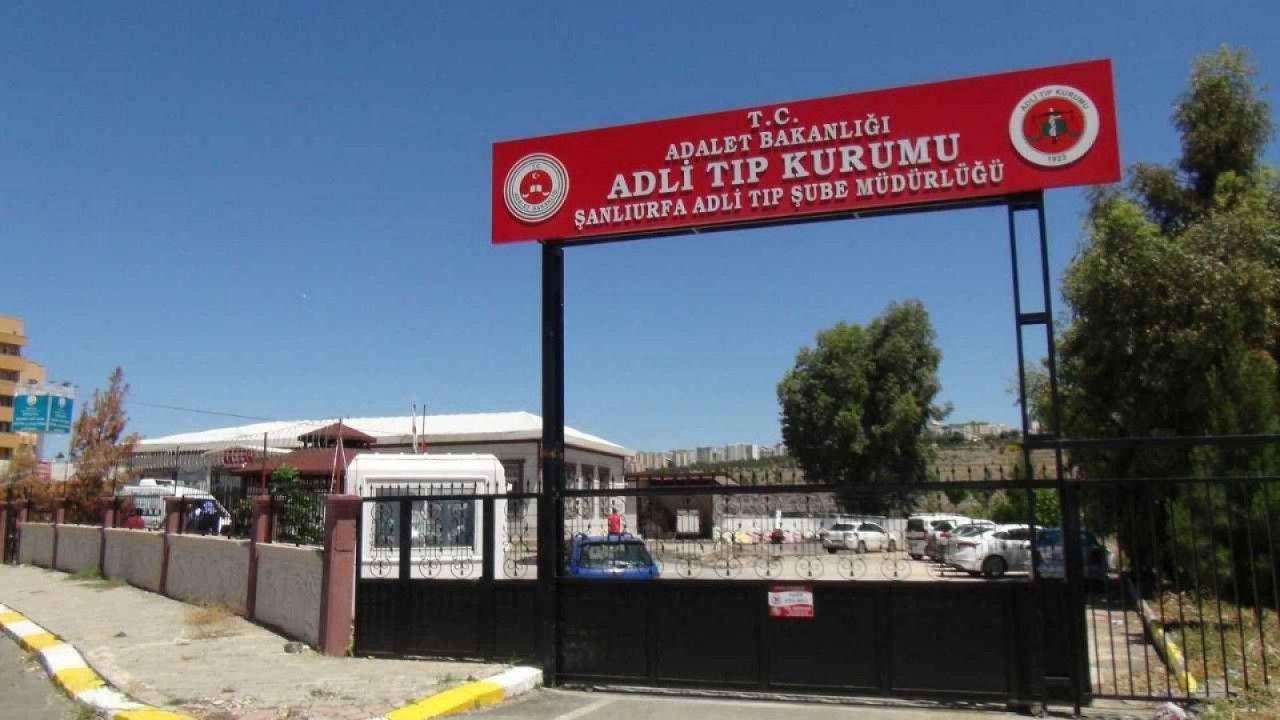 Urfa'da traktörün altında kalan küçük çocuk hayatını kaybetti