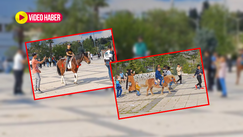 At sahiplerinden Şanlıurfa'da bayram sürprizi: 20 TL'ye at binme keyfi, hem de kent merkezinde