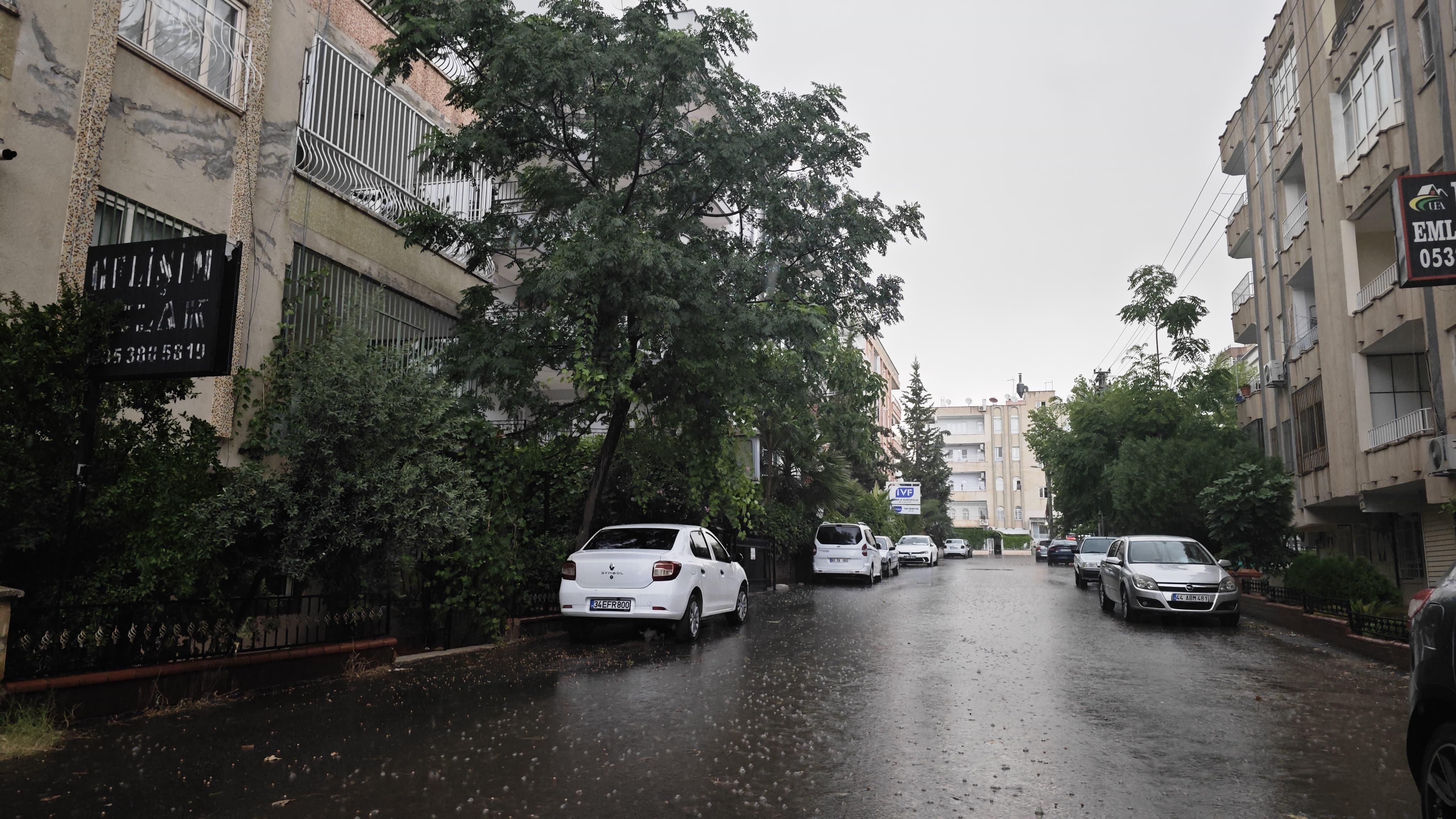 Şanlıurfa’da sağanak yağış etkili oldu! Ağaç ve direkler devrildi