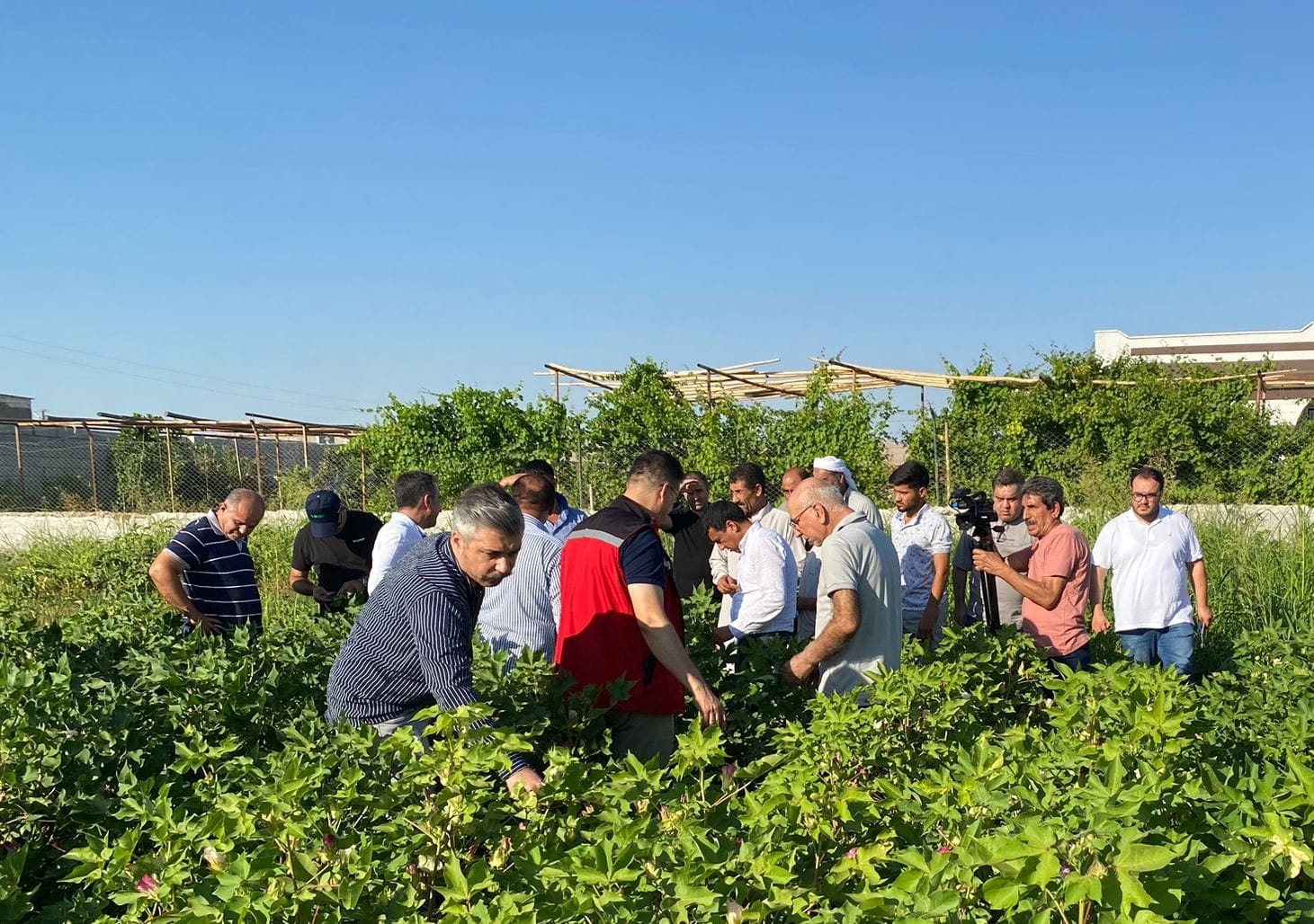 Türkiye'de yüzde 40'ı Şanlıurfa'dan karşılanıyor!