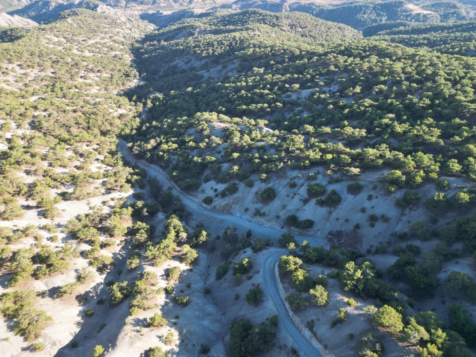 Şanlıurfa’da 4 kilometrelik yeni orman yolu tamamlandı