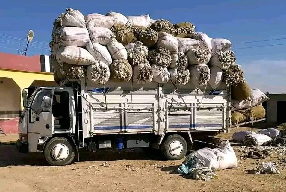 Şanlıurfa’da ‘Afara’ yüz güldürdü