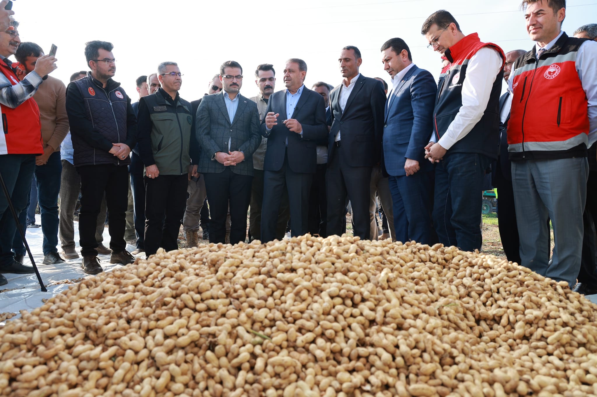 Harran Ovası'nda yeni ürün çiftçinin yüzünü güldürdü