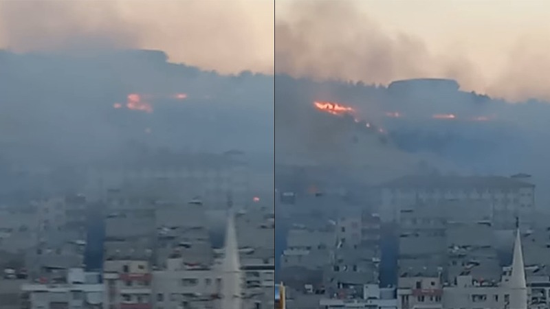 Şanlıurfa’da ormanlık alanda korkutan yangın! Vatandaşlardan tepki geldi