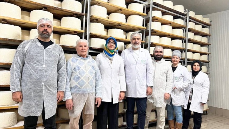 Şanlıurfalılar, İtalyanlar ile ‘pecorino’ peyniri üretti! Dünyanın dört bir yanına gönderiyor