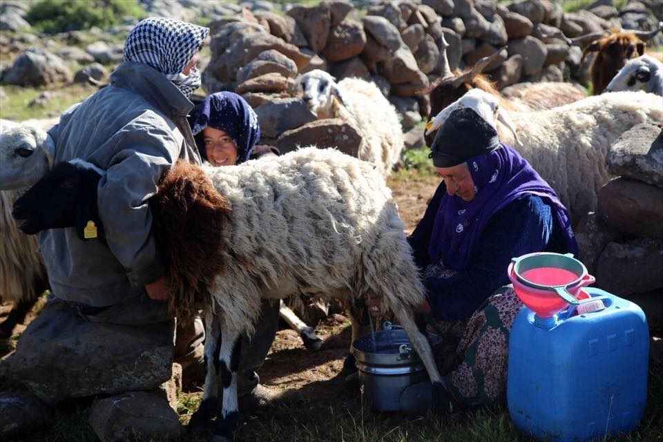 Şanlıurfa’da 20 bin tonu ihaleyle satışa çıkarıldı! 8 buçuk milyon teminat