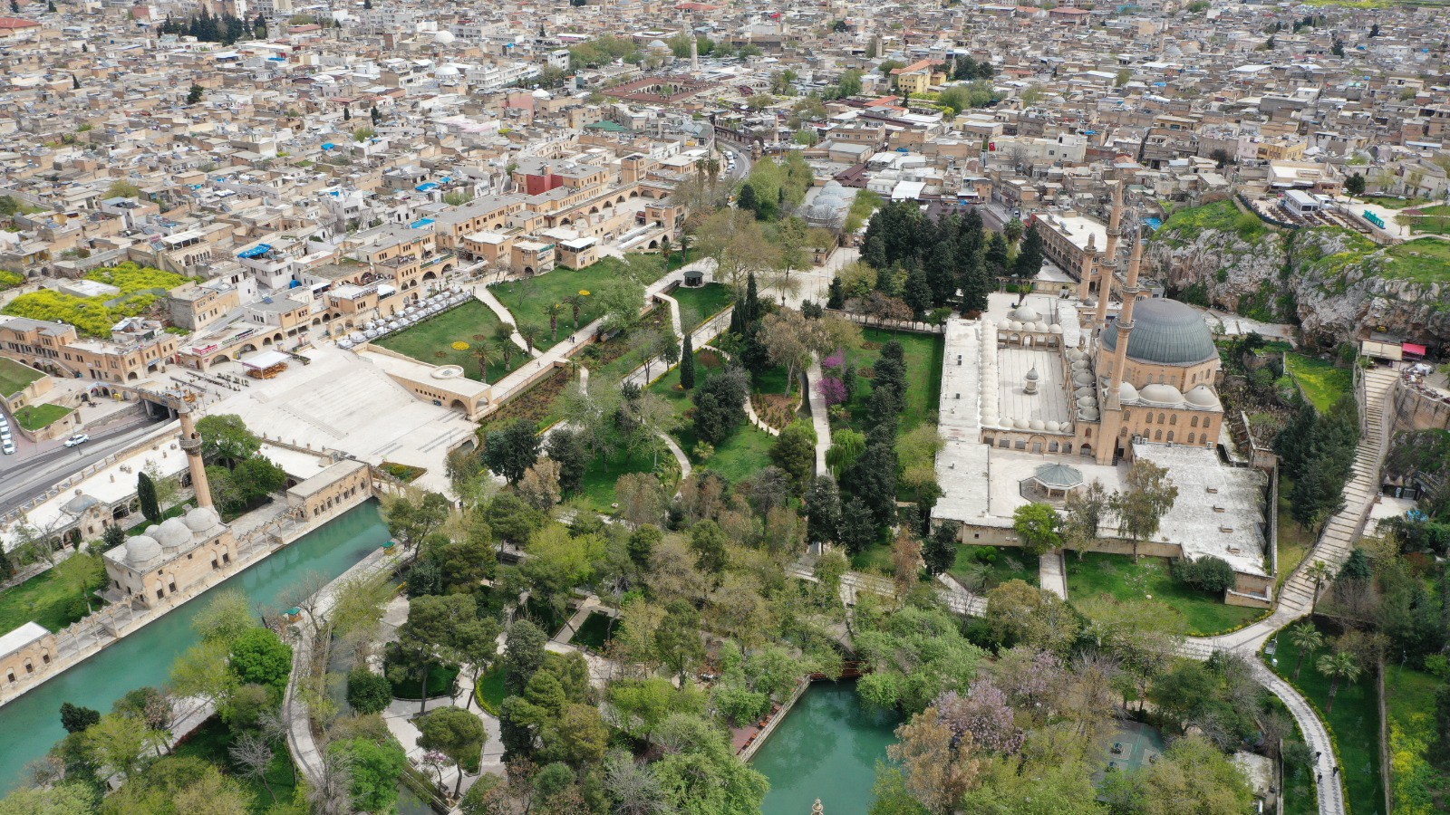 Şanlıurfa'ya böyle ceza gelmeli! Yere izmarit atana 14 bin lira