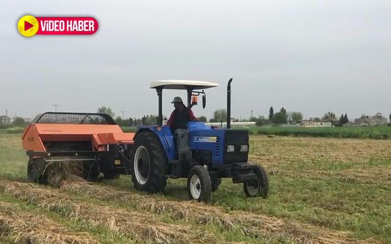 Şanlıurfa’da meralar azaldı: Çiftçilerin yem mesaisi başladı