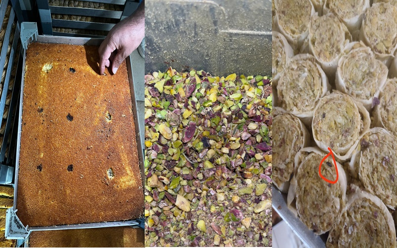 Şanlıurfa’da skandal üstüne skandal! 2 ton böcekli baklava…