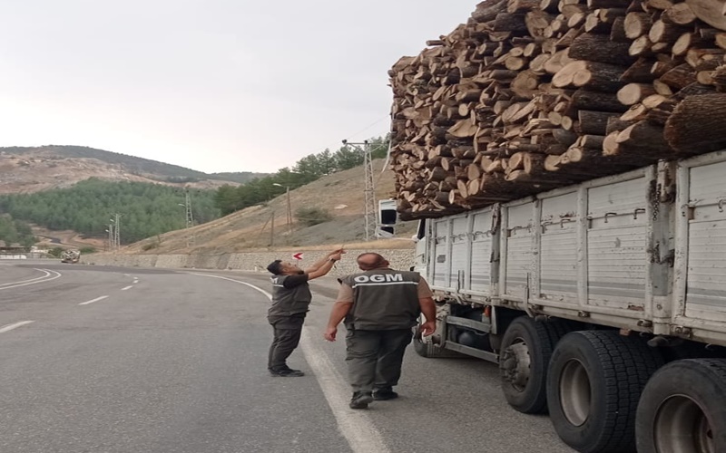 Şanlıurfa’da orman kaçakçılığıyla mücadelede sıkı denetim