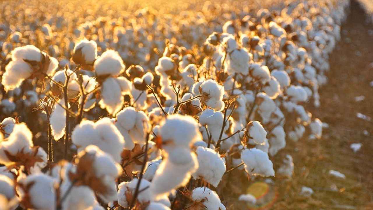 Şanlıurfa’da beklenen fiyatlar açıklandı!