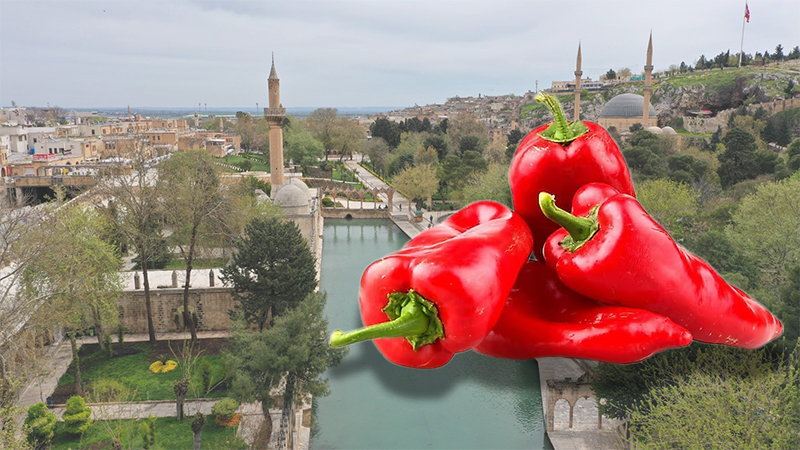 Şanlıurfalılar neden mi bu kadar seviyor? İşte acı biberin sağlık sırları