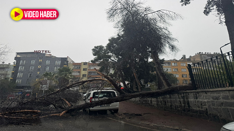 Faciaya ramak kaldı: Şanlıurfa’da yola devrildi!