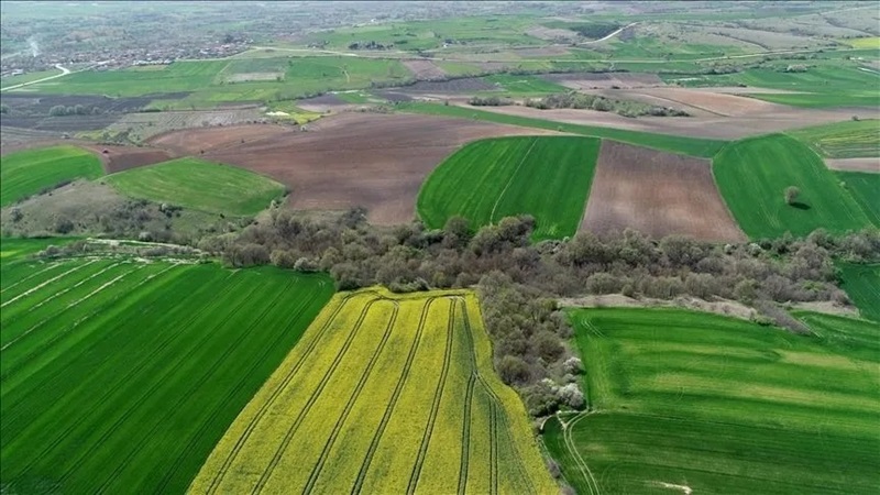 Yatırımcılar için kaçırılmayacak fırsat! Şanlıurfa’da 48 ay vade ile arsa satışı