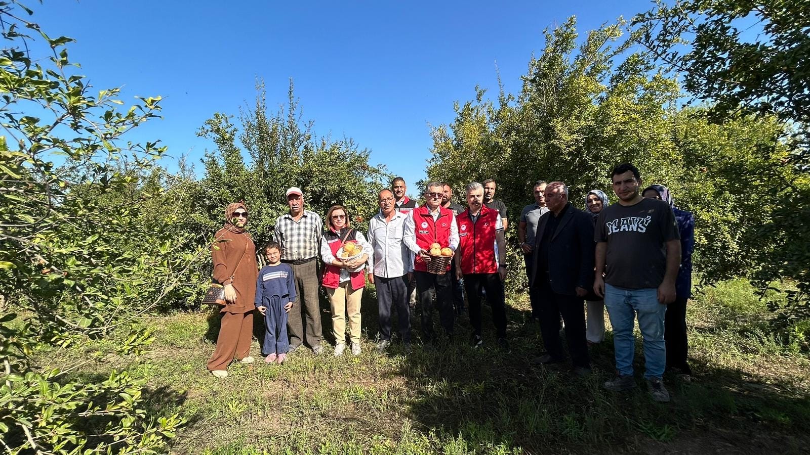 Şanlıurfa’nın Avrupalı ürününde hasat başladı!