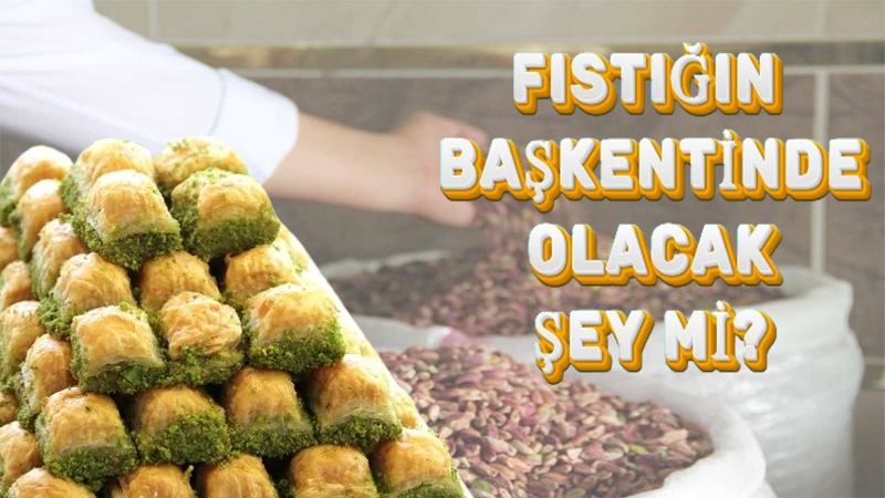 Fıstığın başkenti Şanlıurfa'da bu olduysa! Tane ile satış dönemi başladı