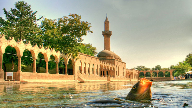 Şanlıurfa’da görenin dilekleri kabul oluyor! Duyan görmek için Urfa’ya akın ediyor