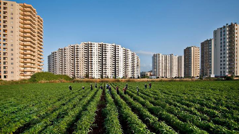 Şanlıurfa’nın geleceği tehlike altında: Hızla kaybediyoruz