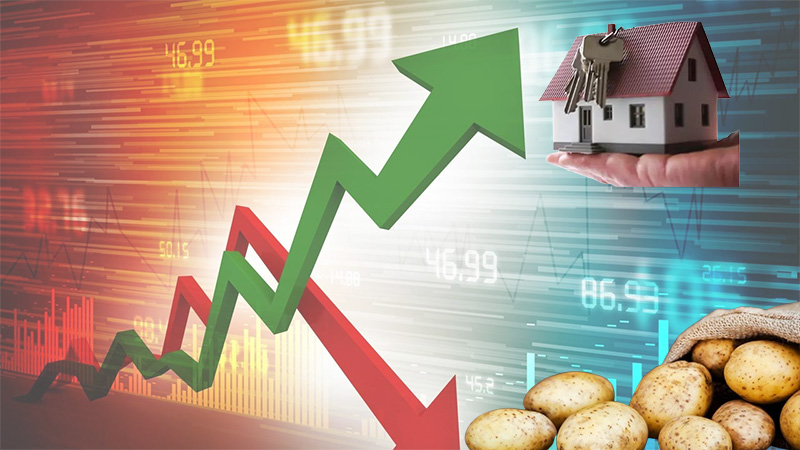 TÜİK açıkladı: Konut sigortası tavan yaptı patatesin fiyatı ise çakıldı!