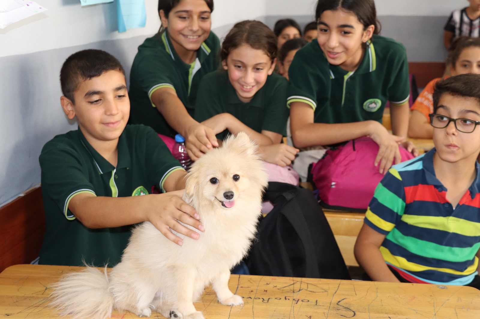 Şanlıurfa’da öğrencilere hayvan sevgisi eğitimi!