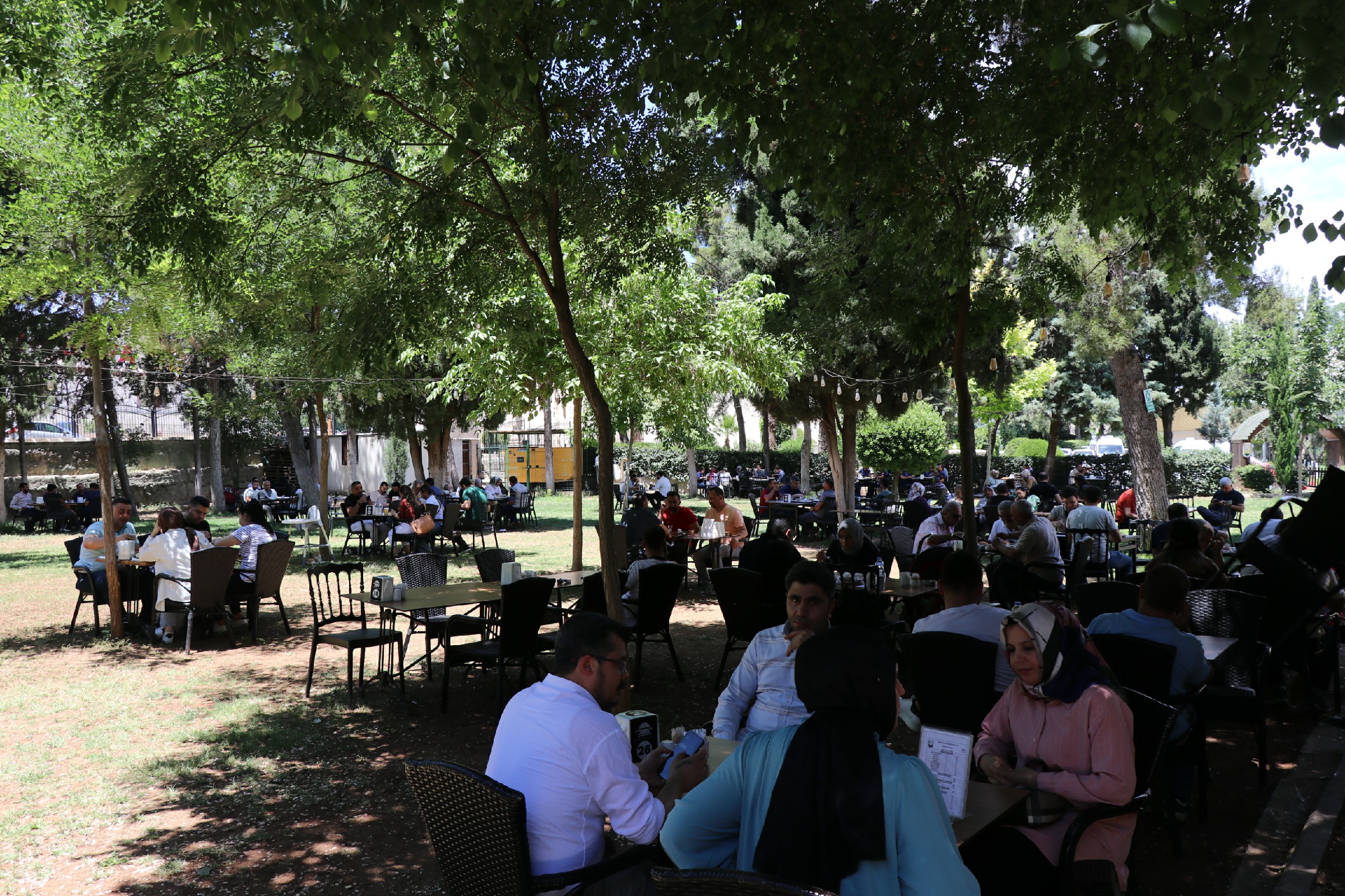 Şanlıurfa’nın en ucuz tesisi: 4 çeşit yemek sadece 40 lira