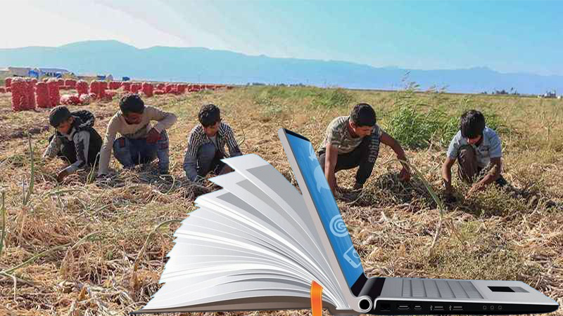 Şanlıurfa’da mevsimlik tarım işçisi çocuklar için eğitimde yeni dönem!