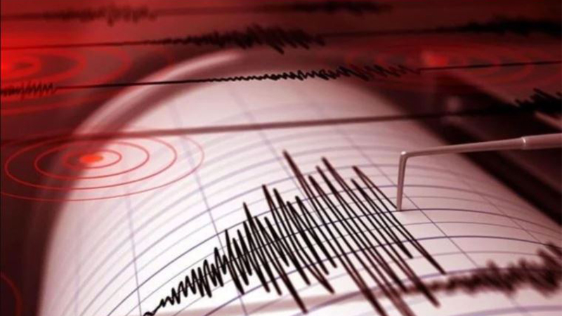 Sabah saatlerinde korkutan deprem! Şiddetli sallandı