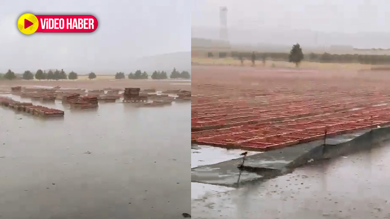 Yağmur Şanlıurfa’ya yaramadı! Tonlarcası heba oldu