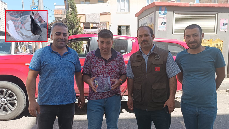 Şanlıurfa'da tedavisi tamamlanarak doğaya bırakıldı