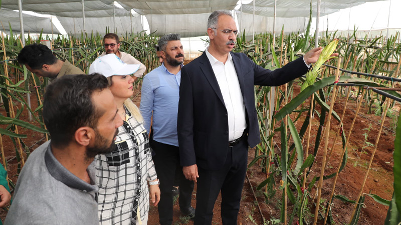 Eyyübiye'de Sera Kent'ten yeni proje müjdesi: Çiftçilere destek geliyor!