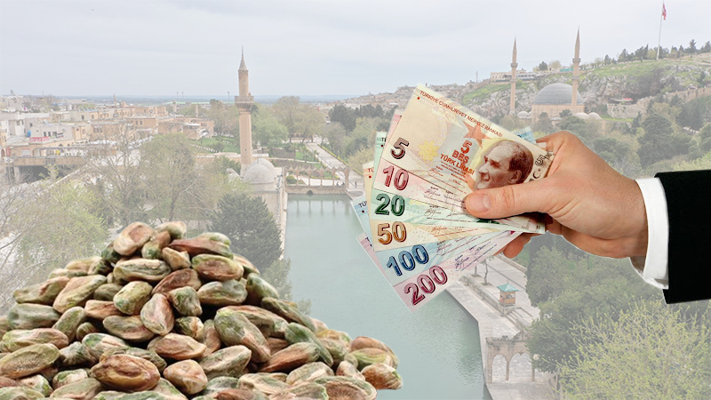 Gaziantep’teki stokçular Şanlıurfa fıstığının adını batırdı!