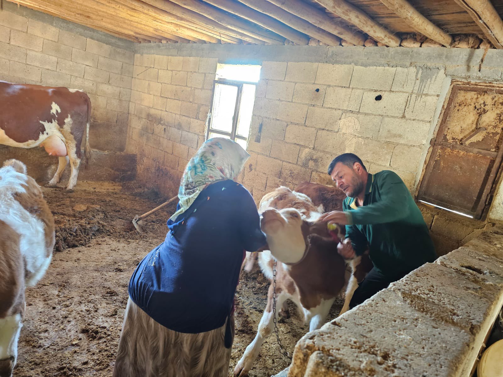 Şanlıurfa’da aşı seferberliği başladı