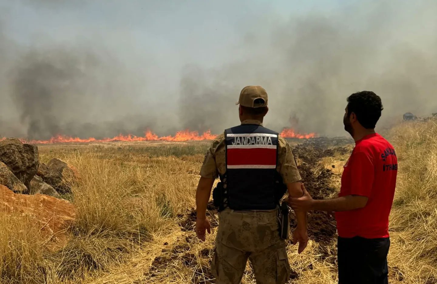 Şanlıurfa’da bin 630 dönüm zarar gördü: Ekipler işlem başlattı