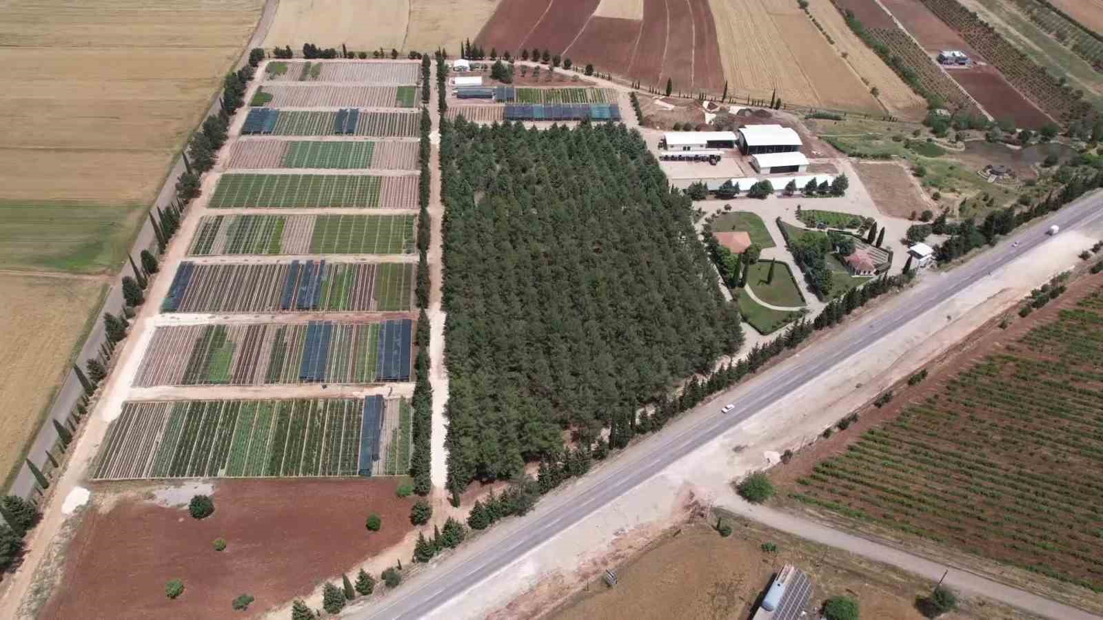 Şanlıurfa’da çalışmalar başladı! Hedef 1 milyon