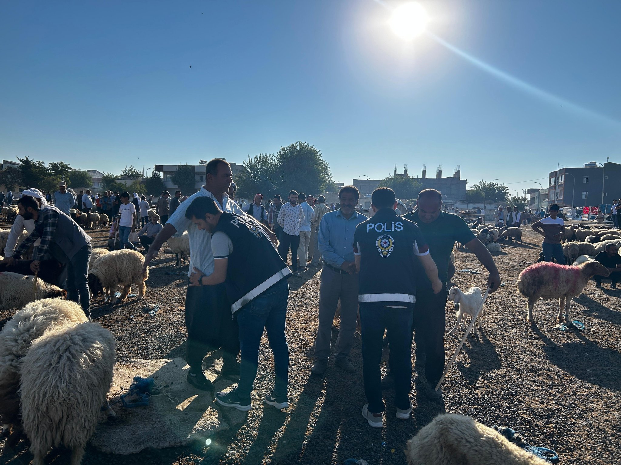 Şanlıurfa’da ekipler didik didik aradı: Çok sayıda yakalandı