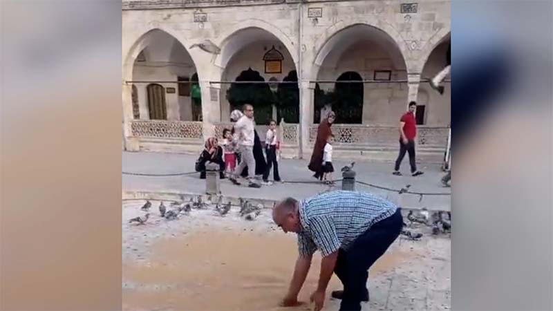 Şanlıurfa’da hayvansever vatandaşın örnek davranışı