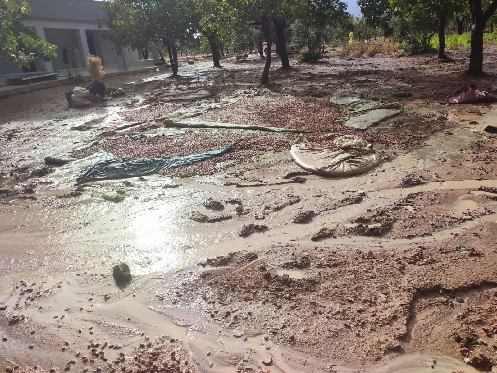 Şanlıurfa’yı sağanak vurdu! Bilanço gün ağarınca ortaya çıktı