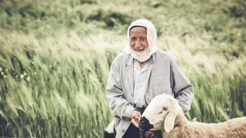 3 padişah ve 12 cumhurbaşkanı gördü! Şanlıurfa’nın asırlık koca çınarı Hadi amca vefat etti