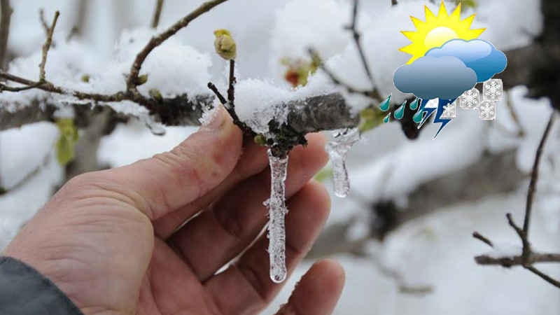 Meteoroloji uyardı: Şanlıurfa’da kuvvetli yağış ve zirai don riski!