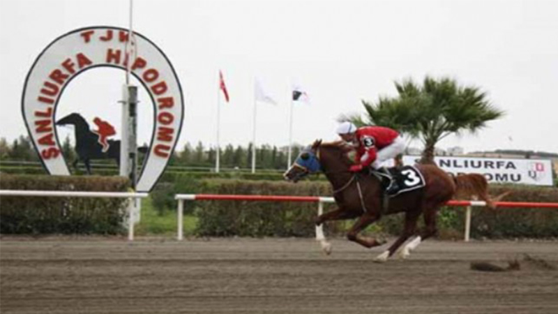 Şanlıurfa’da 6’lı Ganyan zengin etti