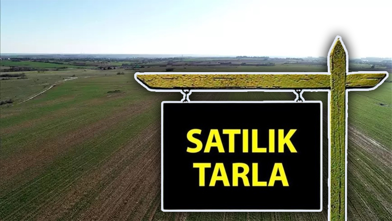 Şanlıurfa’da icradan uygun fiyata satılık tarla