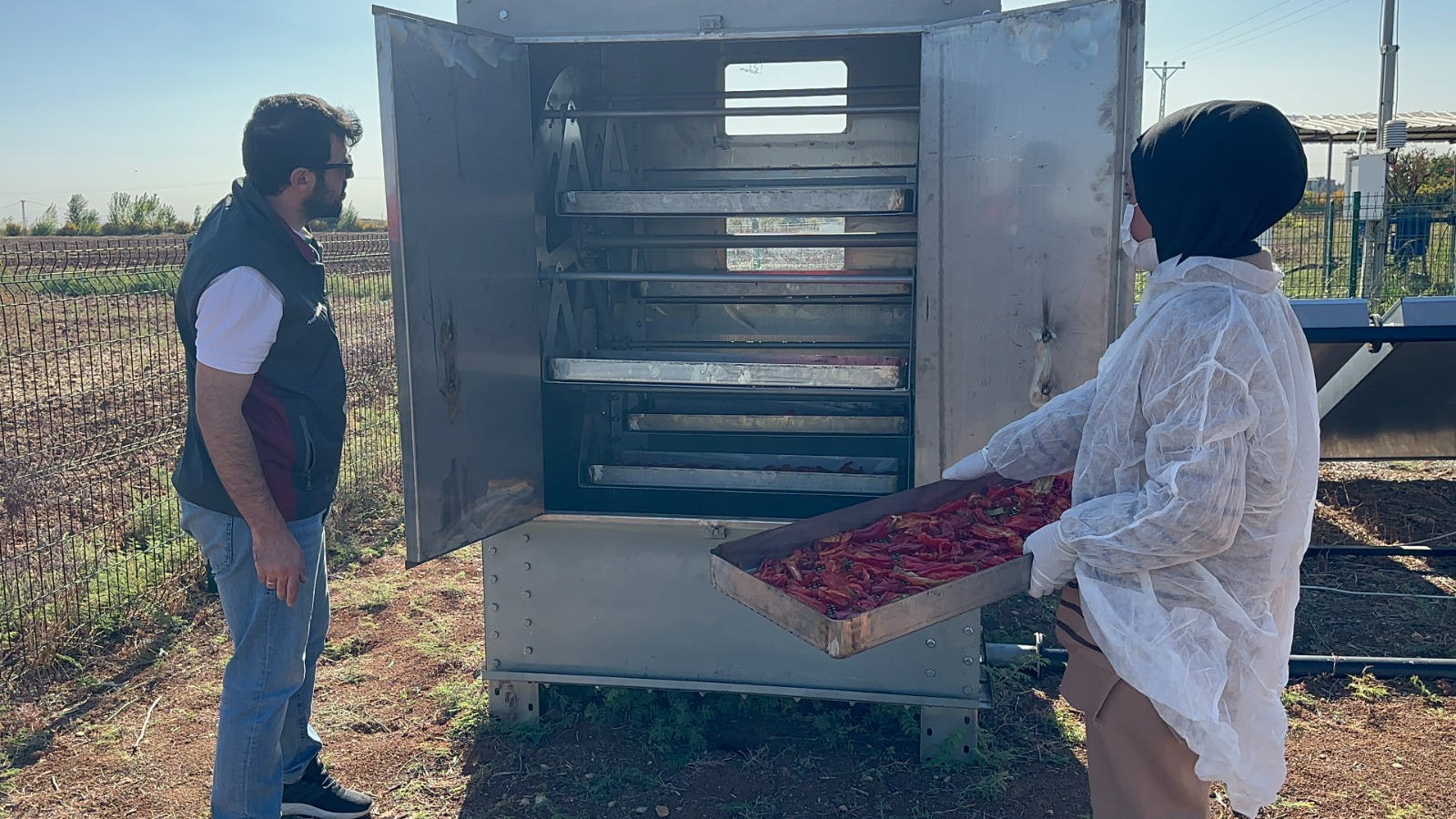 İsot kurutmak artık daha ucuz olacak! Güneş enerjili İsot Kurutma Makinası geliştirildi...