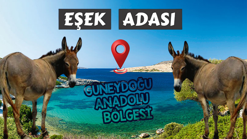 Burası Ege adaları değil Fırat Nehri! İşte Güneydoğu’nun “Eşek adası”