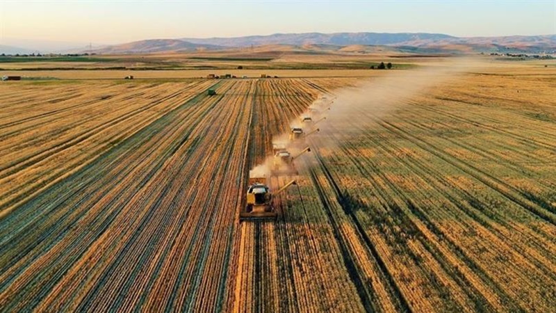 Bakanlıktan çiftçilere yol haritası! "33 soruda planlı üretim" rehberi